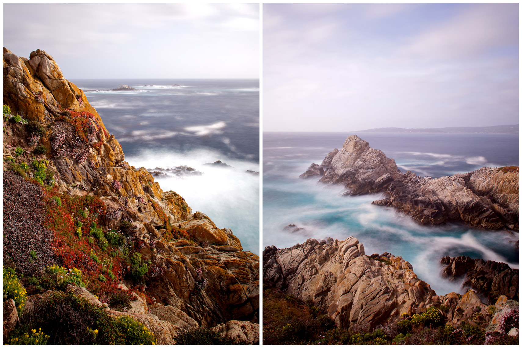 Point Lobos State Reserve in Carmel, California